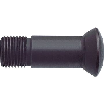Upínacie skrutky Torx Upínacie skrutky Torx